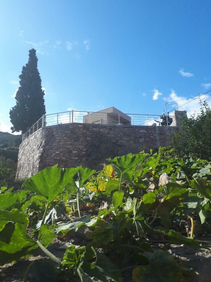Villa Irini - Cretan Luxury Villa With Amazing View Paraspori  Екстер'єр фото