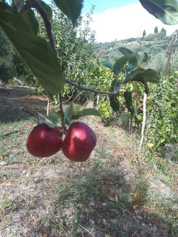 Villa Irini - Cretan Luxury Villa With Amazing View Paraspori  Екстер'єр фото